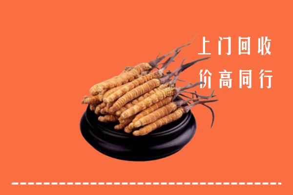 高价求购：商丘市睢阳区回收散虫草
