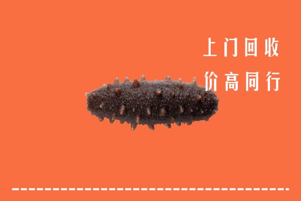 商丘市睢阳区回收海参
