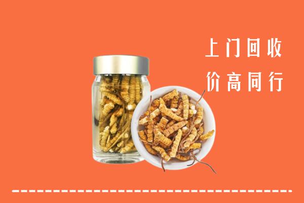 商丘市睢阳区回收冬虫夏草