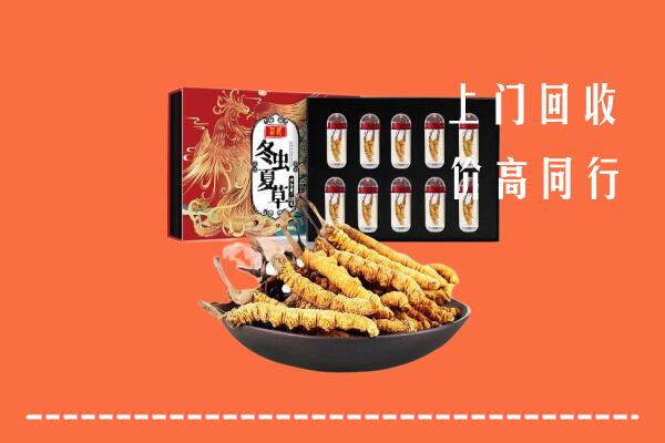商丘市睢阳区回收虫草